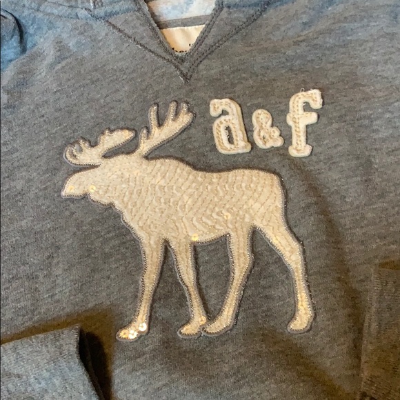 Abercrombie sequin moose logo hoodie - Picture 2 of 2